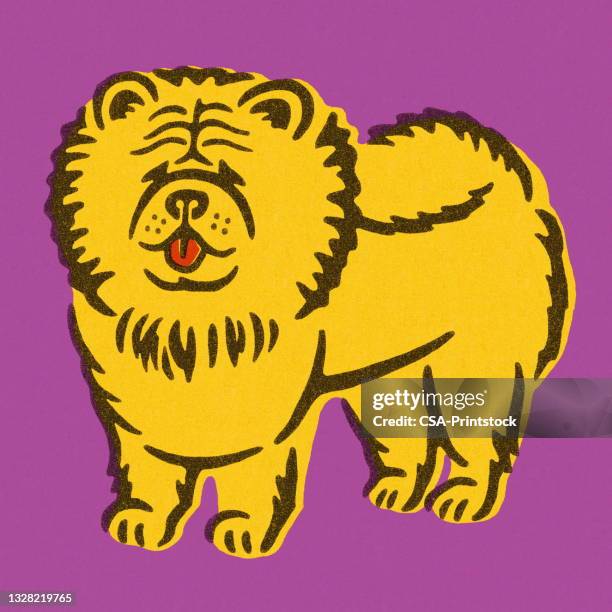 71点のチャウチャウ犬イラスト素材 Getty Images 71点のチャウチャウ犬イラスト素材 Getty Images