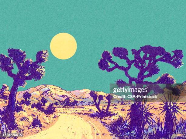 joshua trees and rock formation landscape - modern art stock illustrations