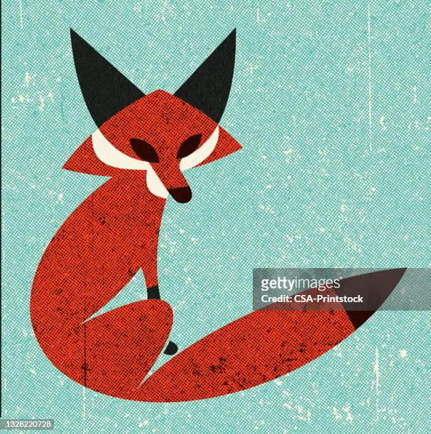 fox - fox stock illustrations