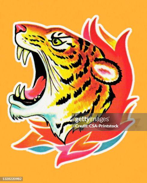 tiger - wildkatzenart stock-grafiken, -clipart, -cartoons und -symbole