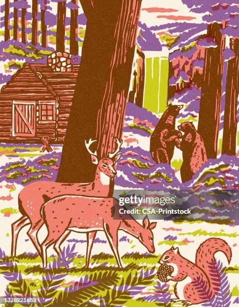 cottage in the woods with animals and waterfall - bear cottage stock illustrations