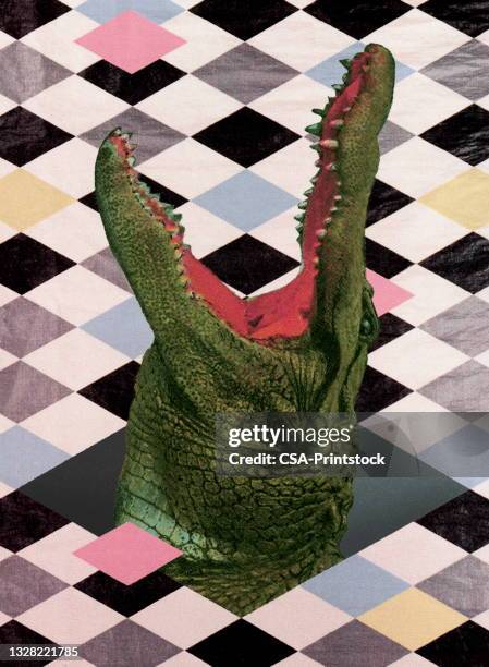 head of an alligator - crocodile 幅插畫檔、美工圖案、卡通及圖標