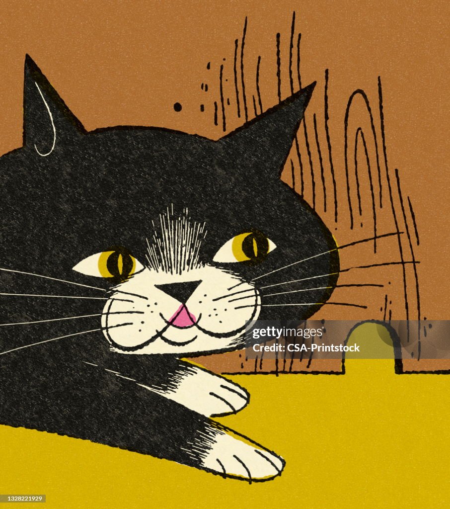Cat Looking in a Mouse Hole