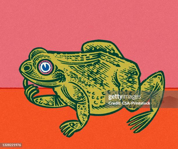 Bfrog 910 Swamp Frog Stock Photos, High-Res Pictures, and Images - Getty Images