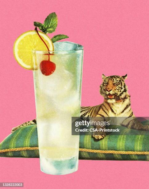 ilustraciones, imágenes clip art, dibujos animados e iconos de stock de bebida refrescante y un tigre en una almohada - wildcat animal