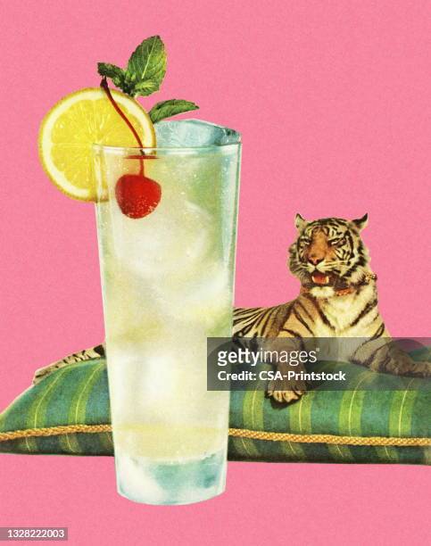 bildbanksillustrationer, clip art samt tecknat material och ikoner med refreshing beverage and a tiger on a pillow - health club