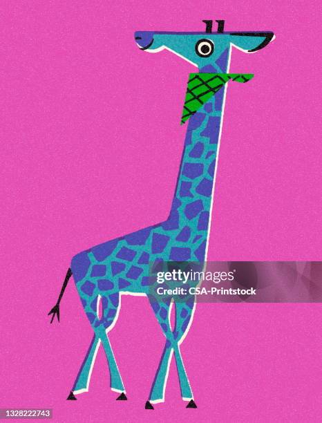 giraffe trägt eine bandanna - girafe stock-grafiken, -clipart, -cartoons und -symbole