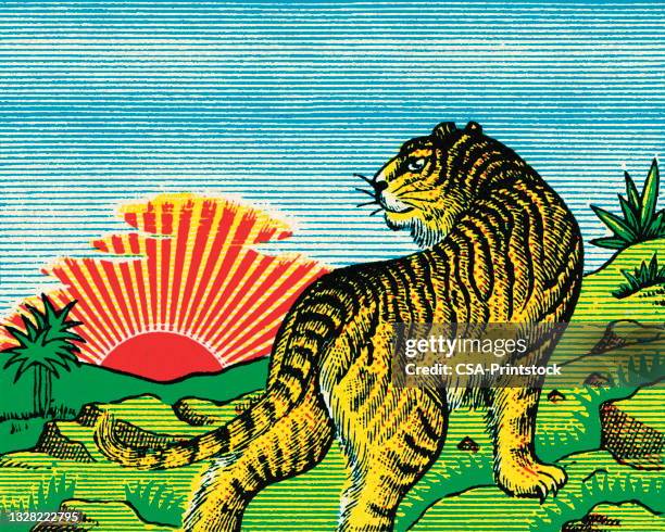 10,563 Pop Art Animals Stock Photos, High-Res Pictures, and Images