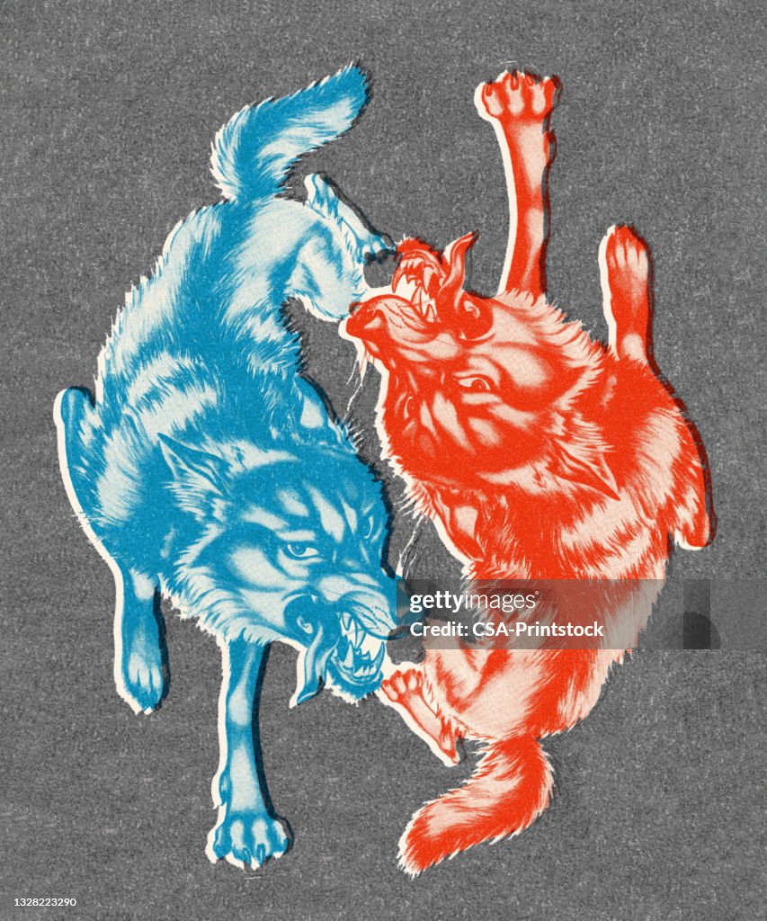 Two Wolves Lettering Two Wolves High-Res Vector Graphic - Getty Images