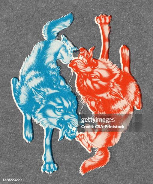 two wolves - wolf stock illustrations