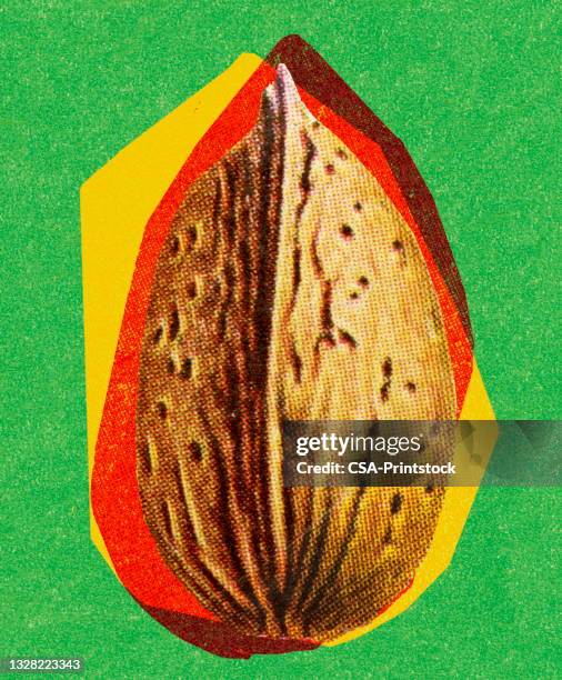almond shell - almonds stock illustrations