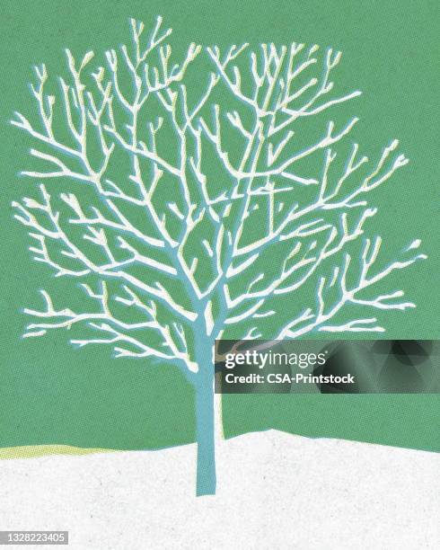 ilustraciones, imágenes clip art, dibujos animados e iconos de stock de bare tree en invierno - bare tree