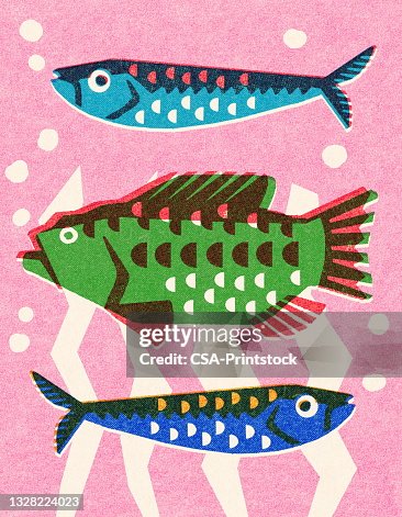 3 Fish Vector Three Fish High-Res Vector Graphic - Getty Images