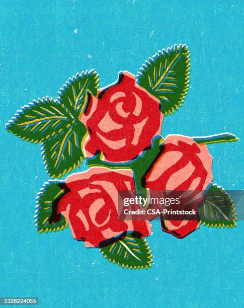 ilustraciones, imágenes clip art, dibujos animados e iconos de stock de rosas - rose flower