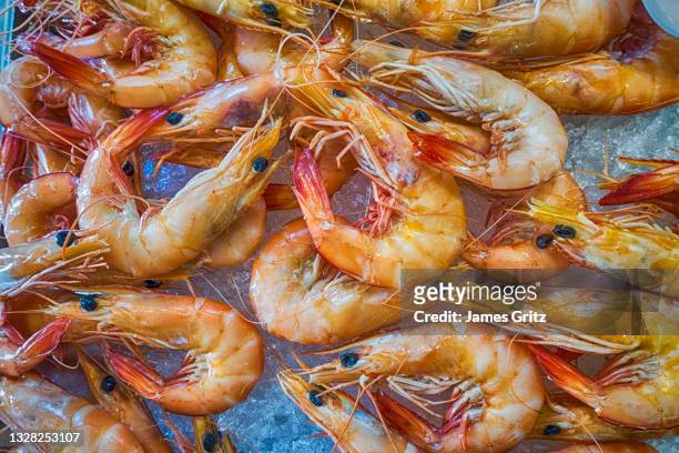 shrimps in fish market - king fish fotografías e imágenes de stock