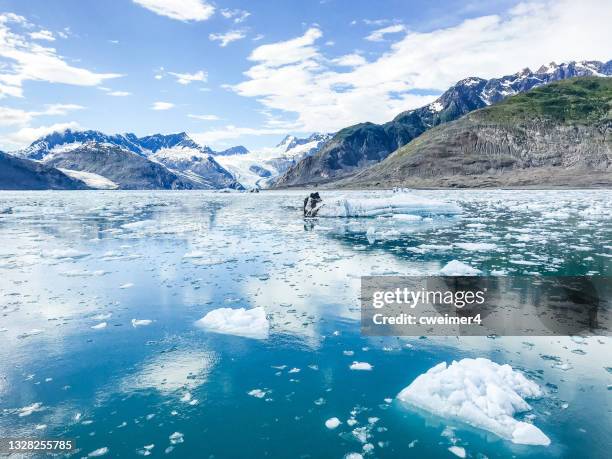 gletscherwasser des prince william sound. columbia-gletscher - prince william sound stock-fotos und bilder