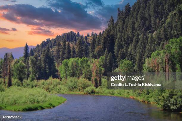 mountains and the river - idaho falls stock pictures, royalty-free photos & images