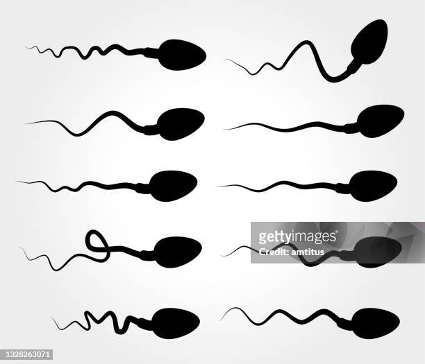 sperm designs - sperm stock illustrations