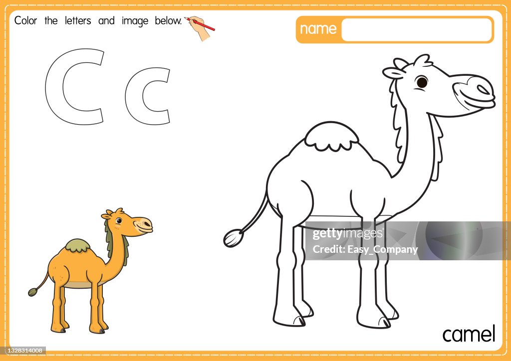 Vector illustration of kids alphabet coloring book page with outlined clip art to color. Letter C for Camel.