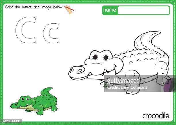 vektorillustration der malbuchseite für kinder mit umrissener clipart zum ausmalen. buchstabe c für krokodil. - echte krokodile stock-grafiken, -clipart, -cartoons und -symbole