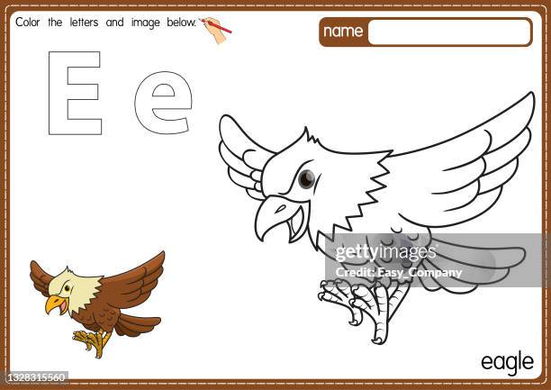 ilustraciones, imágenes clip art, dibujos animados e iconos de stock de ilustración vectorial de la página del libro para colorear del alfabeto infantil con imágenes prediseñadas a color. letra e para eagle. - búho real