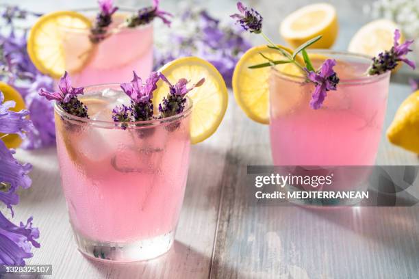 rosa limonade mit lavendelblüten infundiert, eis- und zitronenscheiben im pastellfarbenen hintergrund - brause limonade stock-fotos und bilder