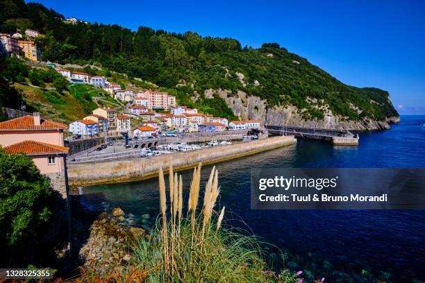 spain, basque country, biscay, elantxobe - baskische provinz stock-fotos und bilder