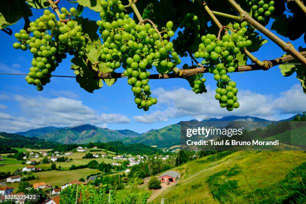 france, pyrénées-atlantiques, basque country, saint-etienne-de-baïgorry - pyrénées atlantiques stock-fotos und bilder