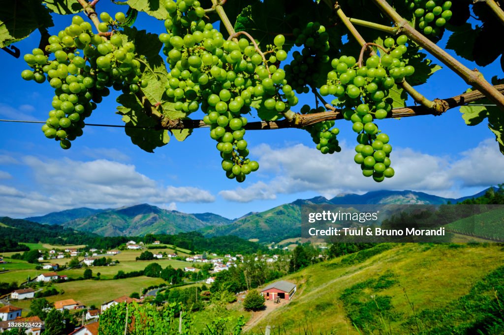 France, Pyrénées-Atlantiques, Basque Country, Saint-Etienne-de-Baïgorry