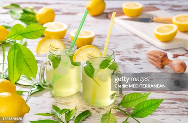 zwei limonadengläser mit minze und zitronenbaum auf grunge-weißholz - lemonade stock-fotos und bilder