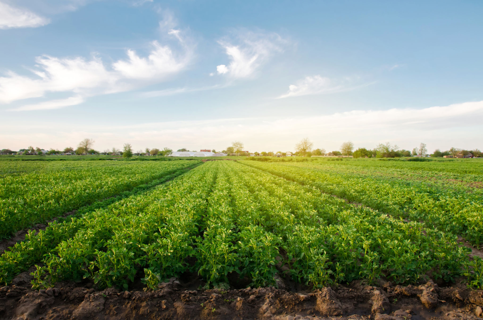 environment friendly farming