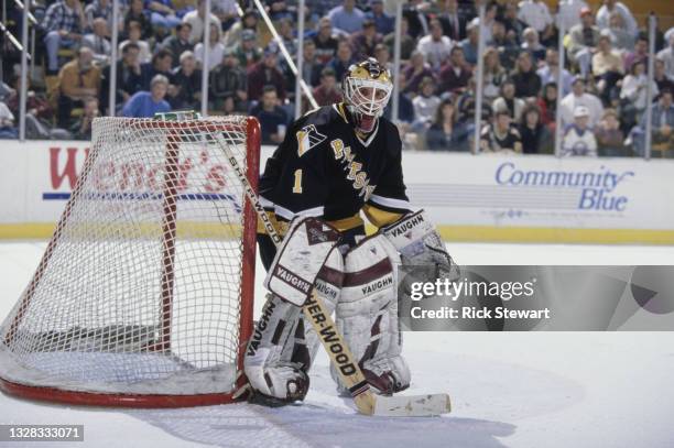 Wendell Young, Goaltender for the Pittsburgh Penguins during the NHL Eastern Conference Northeast Division game against the Buffalo Sabres on 21st...