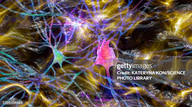 neurons in dementia, conceptual illustration - microglia stock illustrations