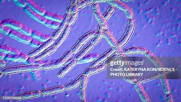 bildbanksillustrationer, clip art samt tecknat material och ikoner med anthrax bacteria, illustration - anthrax