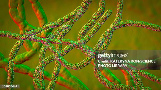 anthrax bacteria, illustration - anthrax stock illustrations