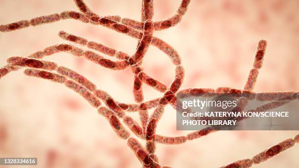 Internal Anthrax Anthrax Photos and Premium High Res Pictures - Getty Images