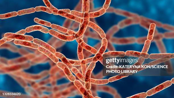 anthrax bacteria, illustration - anthrax stock illustrations