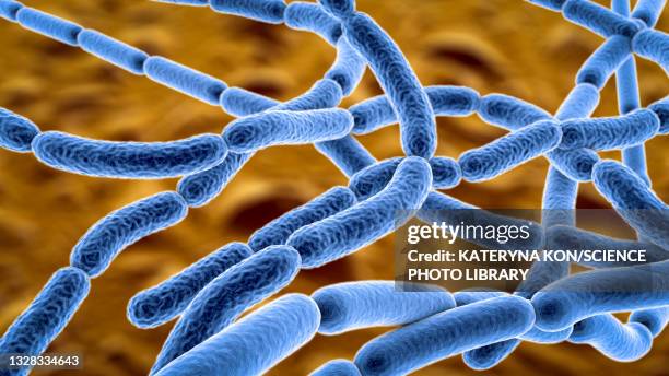 illustrazioni stock, clip art, cartoni animati e icone di tendenza di anthrax bacteria, illustration - bacteria