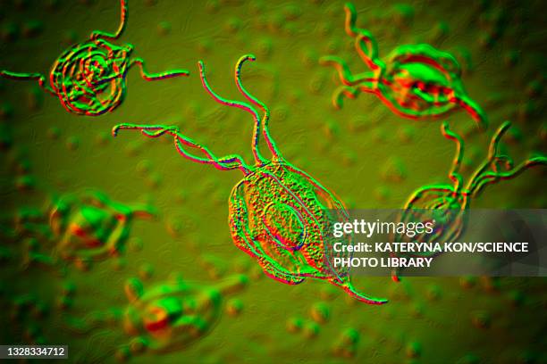 oral trichomonas, illustration - periodontal disease stock illustrations