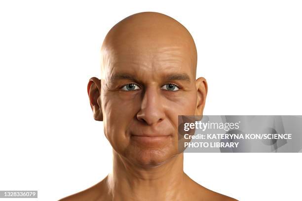 ilustraciones, imágenes clip art, dibujos animados e iconos de stock de middle aged man without hair, illustration - hombres maduros