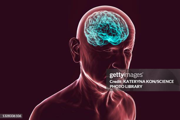 309点の認知症イラスト素材 Getty Images 309点の認知症イラスト素材 Getty Images