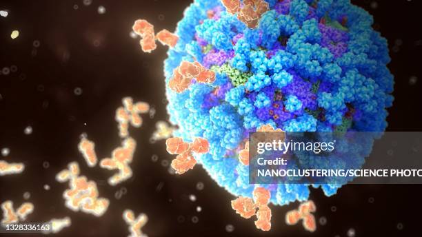 antibodies binding influenza virus, illustration - virus grippe foto e immagini stock