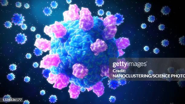 astrovirus particles, illustration - astrovirus stock pictures, royalty-free photos & images