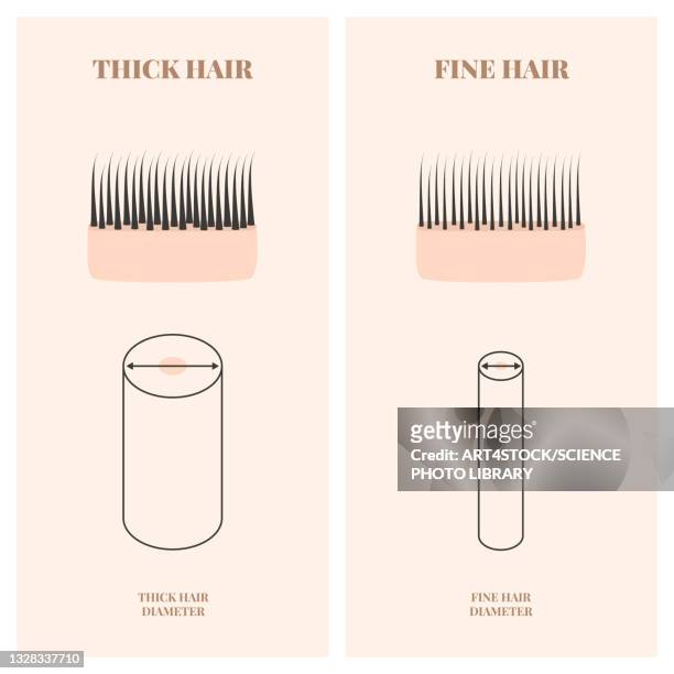 hair thickness, illustration - コラーゲン点のイラスト素材／クリップアート素材／マンガ素材／アイコン素材