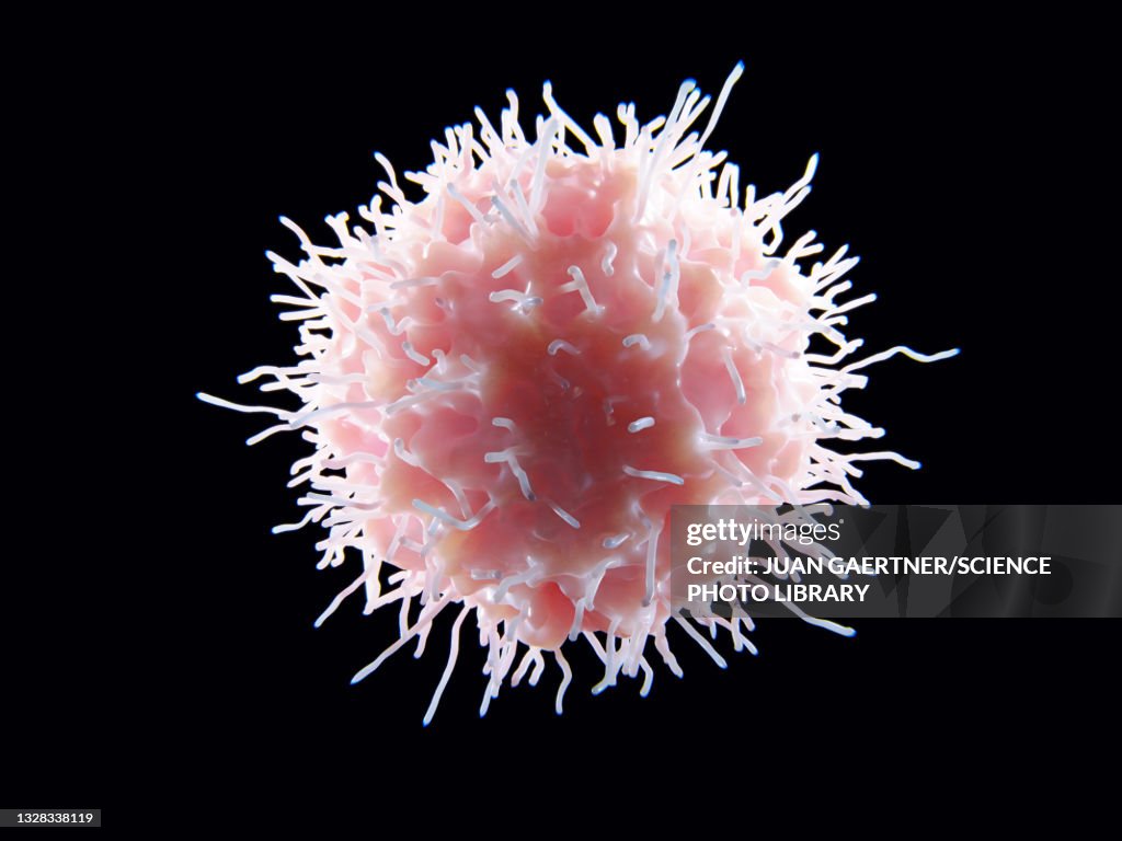 Natural killer cell, illustration
