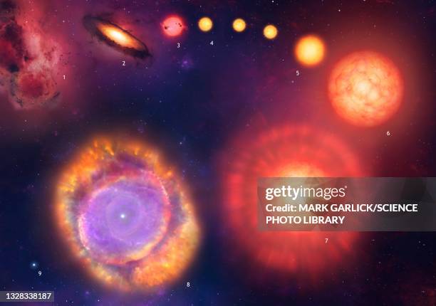 life-cycle of the sun, artwork - sort sol stock illustrations