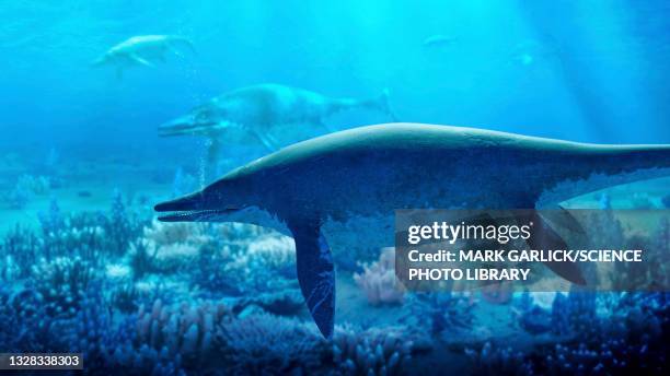 artwork of shastasaurus ichthyiosaurs - triassic landscape stock illustrations