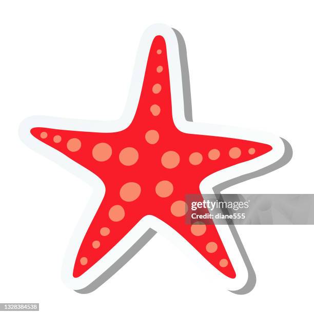 cute summer icon on a trasparent base - starfish stock illustration - trasparente stock illustrations