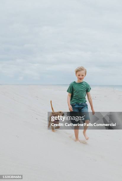 a young boy walks over soft dry sand on a beautiful beach, followed by a spaniel puppy who gazes up at him with adoration - suit photos et images de collection