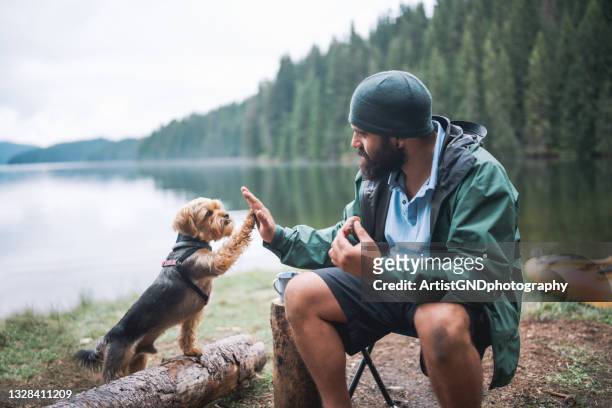 young bearded man and his dog giving high five to one another at camping - loyalty imagens e fotografias de stock